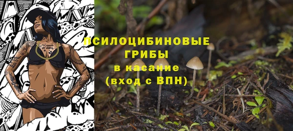 бутират Арсеньев