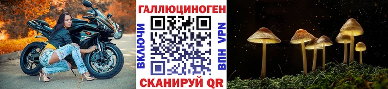 сайты даркнета как зайти  Новоузенск  Галлюциногенные грибы мухоморы 